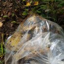 장수비닐봉투 이미지