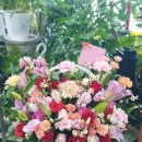 동림꽃농원 이미지