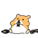스쿤브레드 네이버블로그