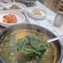 청천올갱이해장국 | 괴산군 청천면 맛집 황금정 올갱이 해장국(내돈내산)