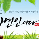 선의농원 이미지