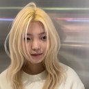 머리헤여