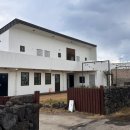 하이제인 이미지