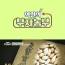 씨