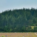 구영축산 이미지