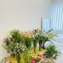 땅트플레르