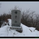 종자산 정상 이미지