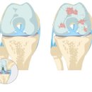 정동병원 이미지