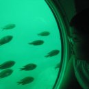 늘바다통나무집 이미지