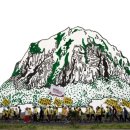 강정동-68 이미지