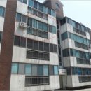 하모리-5 이미지