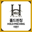 홀드핀칭 네이버블로그