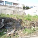 강정동-9 이미지