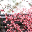 한밭목장 이미지