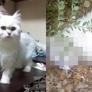 은비수산 이미지