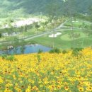 포레스트힐cc 이미지