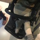 대하찹쌀아구찜 이미지