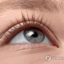 큰사람들