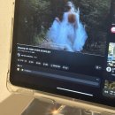 브런치콘서트 청주의봄 | [10월 일상] 너는 생각이 너무 많아