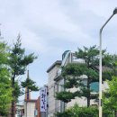 일산로695번길 네이버블로그