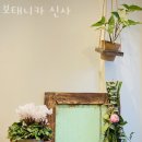 보태니카