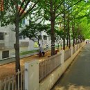 원길로24번길 이미지