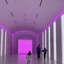 아이프라자 | 인천 호텔 파라다이스시티 아이와 호캉스 객실 조식 플라자 후기