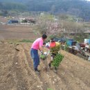 내린천민박 이미지