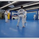 구단태권도 이미지