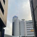 오키나와 국제거리 류보백화점 수산물 코너 후기｜가성비 좋은 회·초밥 추천