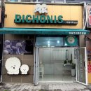 비숑이즈 이미지