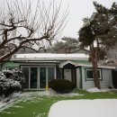 양평애견택시 이미지