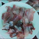 목포홍어나라 이미지