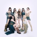 몬스터MMA 이미지