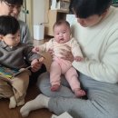 코끼리빠 네이버블로그
