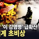 중국발 이 감염변 급확산... 초비상 이미지