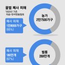 봉평허니농원