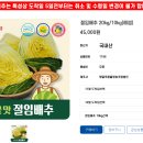 땅끝푸른들 티스토리