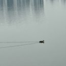 성성호수공원(행정) 이미지