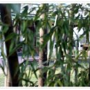 정원민박 이미지