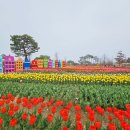 남종면 제청말길 12 이미지