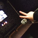 참살이오리