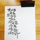 붓펜&수채캘리그라피 이미지