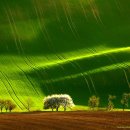 푸른초원 이미지