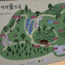 소길동백