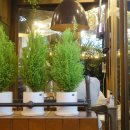 라파농장 이미지