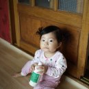 하연