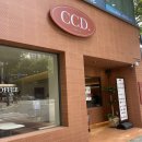 평택카페) 평택 뉴코아 근처 카페 &#34;CCD 평택비전점&#34;