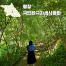 국립백두대간수목원 진입로(강원도 방향) | 강원도 평창 가볼만한곳 산수국 명소 국립한국자생식물원, 산수국 위치 및 수목원 스탬프 투어 장소