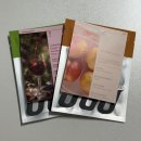 첨단기업로2L(2)-19 | 2025 부산카페쇼 방문 후기와 추천 부스, 점심